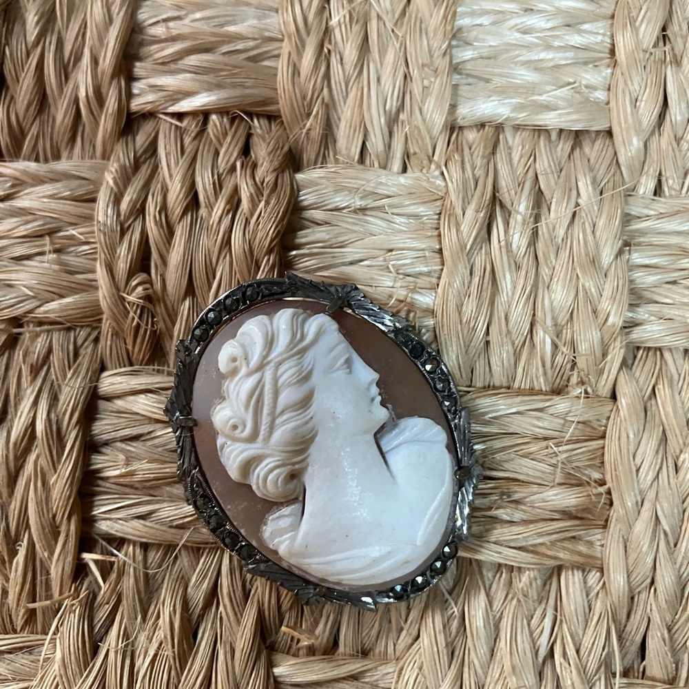 Elegant Cameo Brooch in Silver and Brown